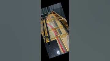 Piano playing - Resulting string and hammer movement #shorts #piano #physicswallah #physics #music