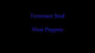 Video thumbnail of "Meat Puppets - Tennessee Stud"