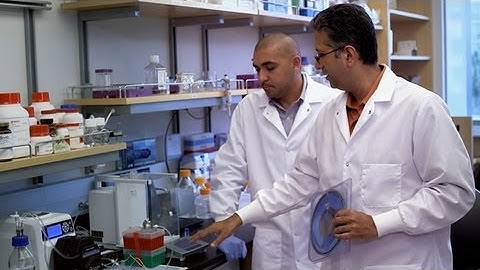 Onward California: An Implantable Artificial Kidney