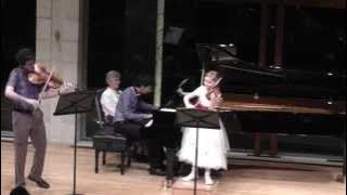 Trio movement for violin, viola and piano, composed by Alma Deutscher, 2014