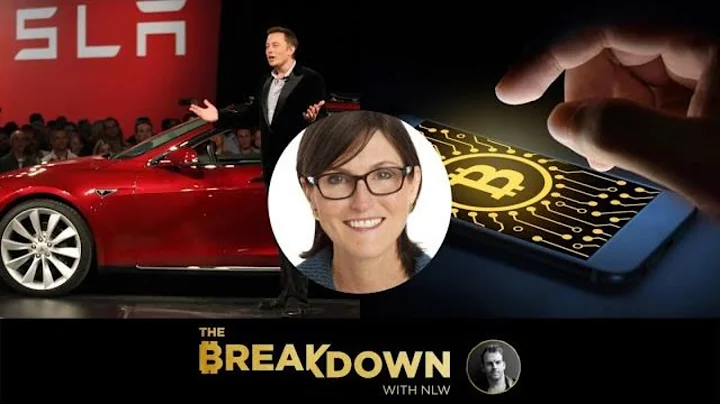 What Early Bets on Tesla and Bitcoin Taught Cathie...
