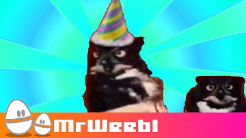 Rotate Your Owl : animated music video : MrWeebl