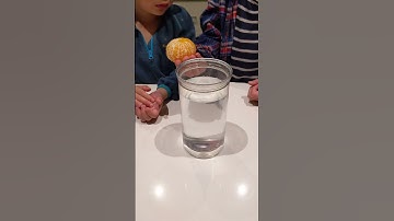 What make Orange Float? How to Sink Orange? #Shorts #float #stem #stemeducation