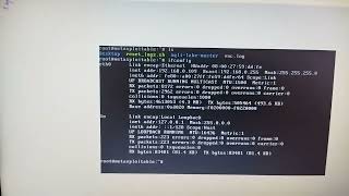 How to fix SQLi-LABS Page error "The requested URL /sql-labs-master was not found on this server"? Wealth