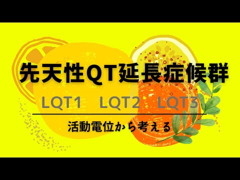 【活動電位と心電図】先天性QT延長症候群 LQT1 LQT2 LQT3をマスターする！