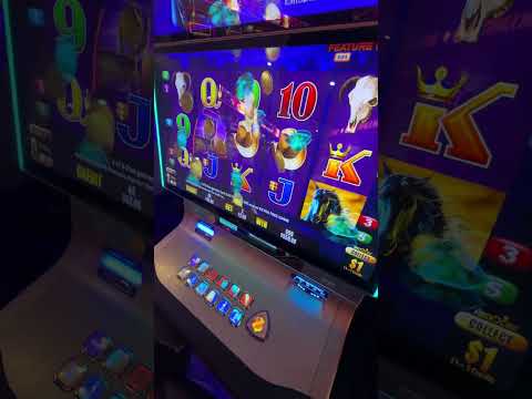 Experience the Thrill of Australian Online Casinos - Top Recommendations for Players in Australia