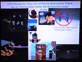 Downdetector Roblox