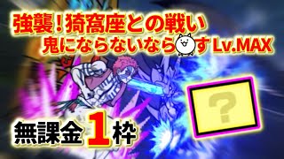 強襲！猗窩座との戦い Lv.MAX 無課金1枠速攻【にゃんこ大戦争】