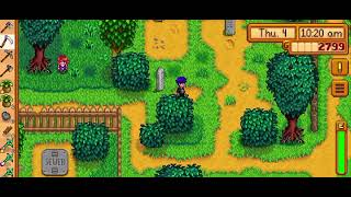 004 - Stardew Valley
