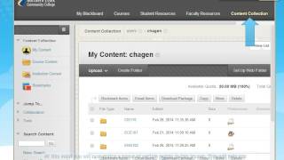 Blackboard Content Collection at NECC