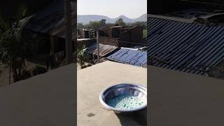 make a smoke bubble #experiment #sorts