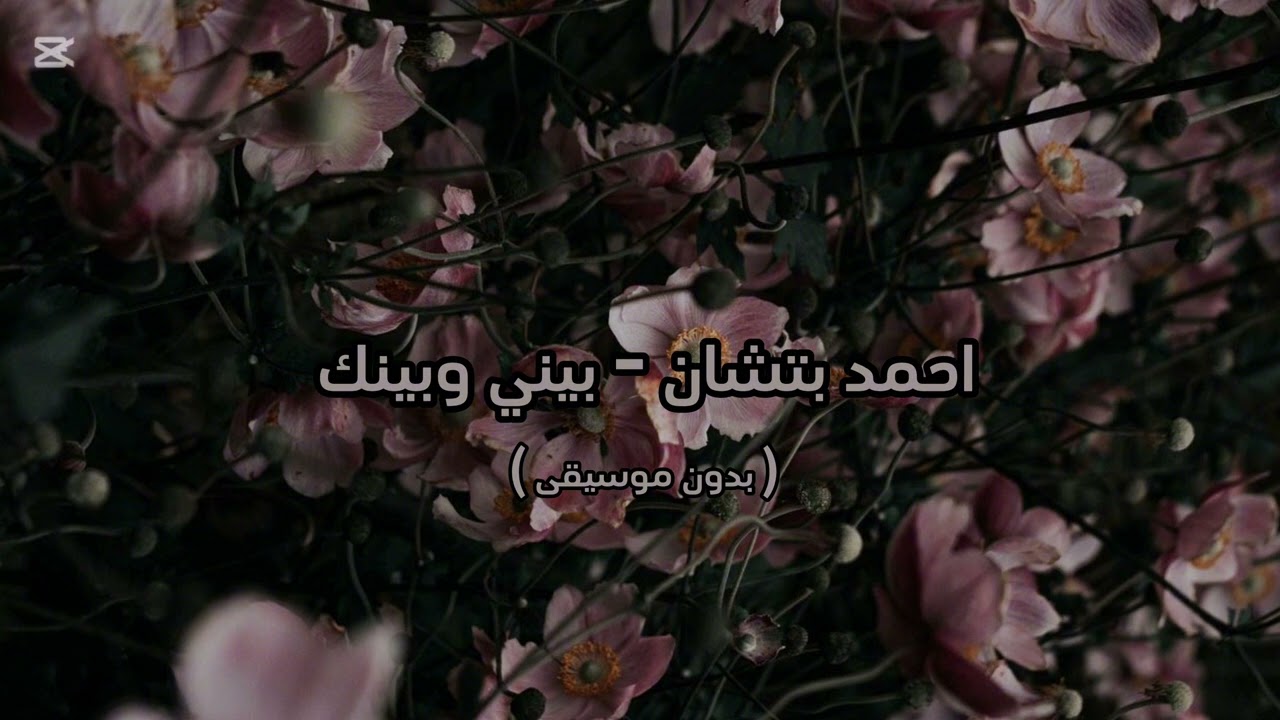 احمد بتشان - بيني وبينك ( بدون موسيقى )