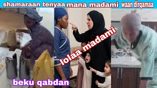 shamaraan Tenyaa Biyaa Arabaa Waan Dirqamaa Madamiin Jetuu Bekkuu Qabanaa