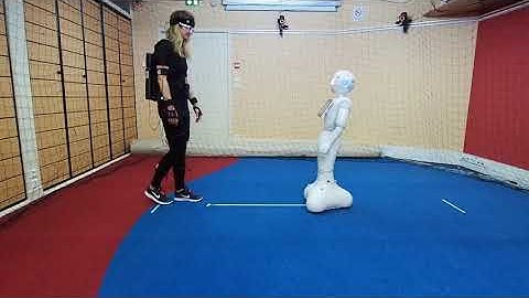 Toward Virtual Reality-based Evaluation of Robot Navigation among People