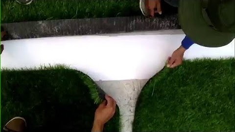 [Cỏ Nhân Tạo Thanh Thịnh] Lắp Đặt Cỏ Trắng