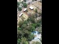 Reabrió el zoológico más grande del país: la transformación que sorprende