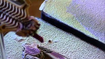 dropzone commander update