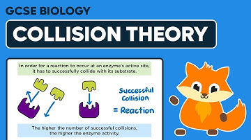 Enzymes & Collision Theory - GCSE Biology