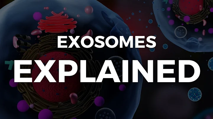 Exosomes EXPLAINED