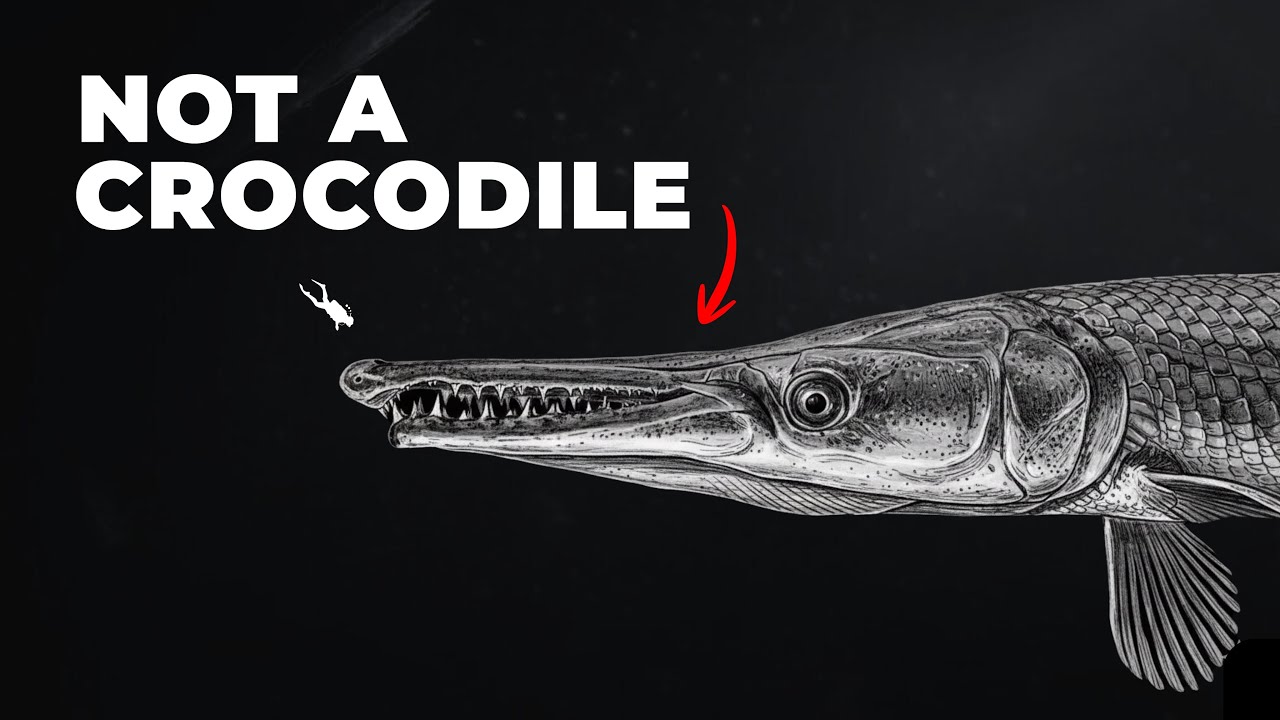 Единственная рыба, которая эволюционировала подобно крокодилу.