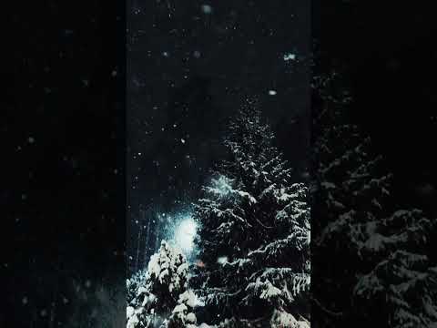 Снег падает... ❄