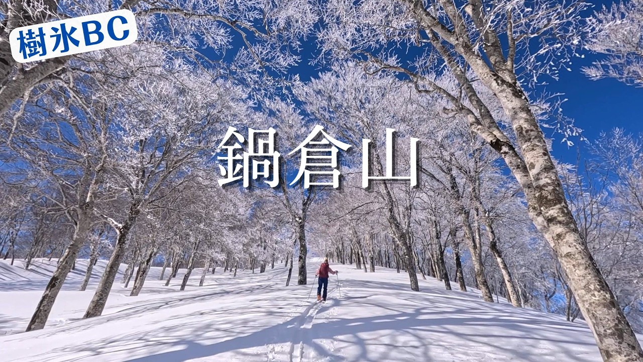 【樹氷BC】鍋倉山《2026/2/20》快晴！パウダー！樹氷！三拍子揃う！