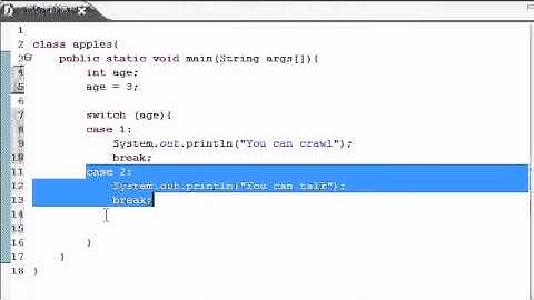 Java Programming Tutorial   12   Switch Statement