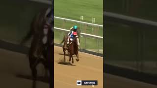 Jack Christopher H. Allen Jerkens Memorial Stakes G1