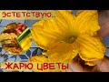 Жарю ЦВЕТЫ тыквы в кляре на сковороде / Просто вкусно / Простые и вкусные рецепты на сковороде