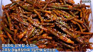 초보자도 쉽게 할 수 있는 고추장 마늘쫑 장아찌 3일만에 담그는 법