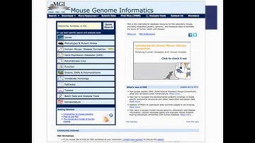Introduction to Mouse Genome Informatics: worksheet module 1