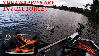 The Crappie Are In Full Force "UNBELIEABLE AMOUNTS OF CRAPPIES IN SCHOOLS"