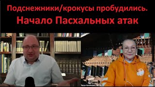 Начало Пасхальных Атак. Крокусы Пробуждаются № 5181