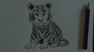 how to draw tiger step by step / tiger drawing easy 