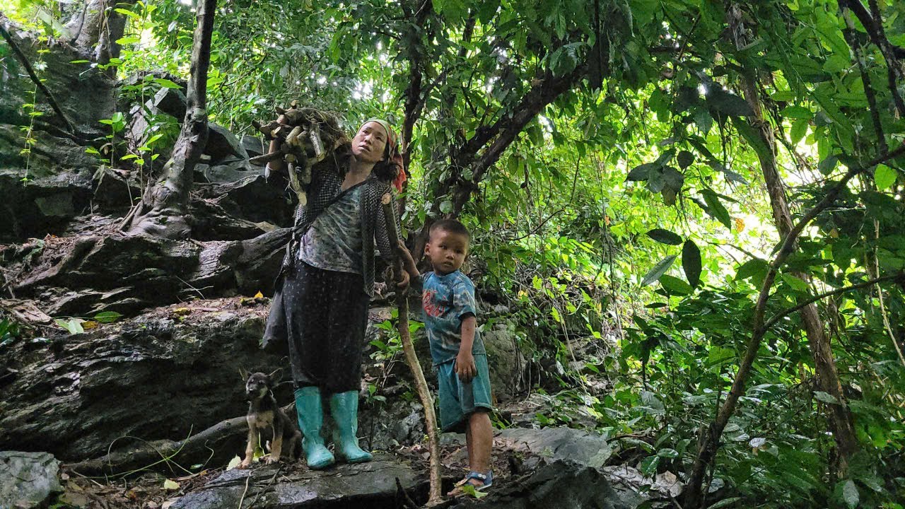 Single mother goes into the forest to find crabs and snails, daily life ...