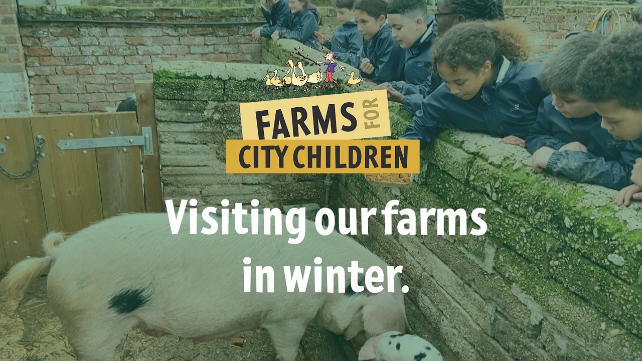 The benefits of a winter farm visit