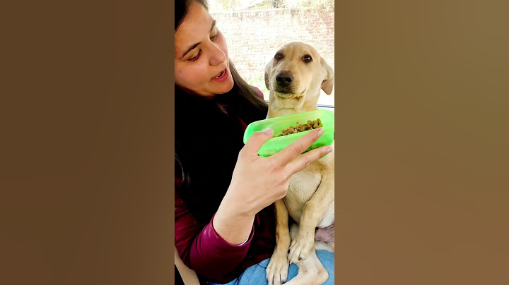 Puppy love and care #puppy #puppies #dog #dogs #dogmom #doglover #doglovers #shorts