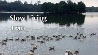 Finding Peace at Avidar Lake, Northern Iran 🌿| Visual Diary