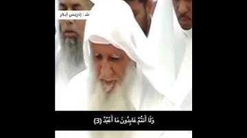 سورة الكافرون #ادريس_ابكر