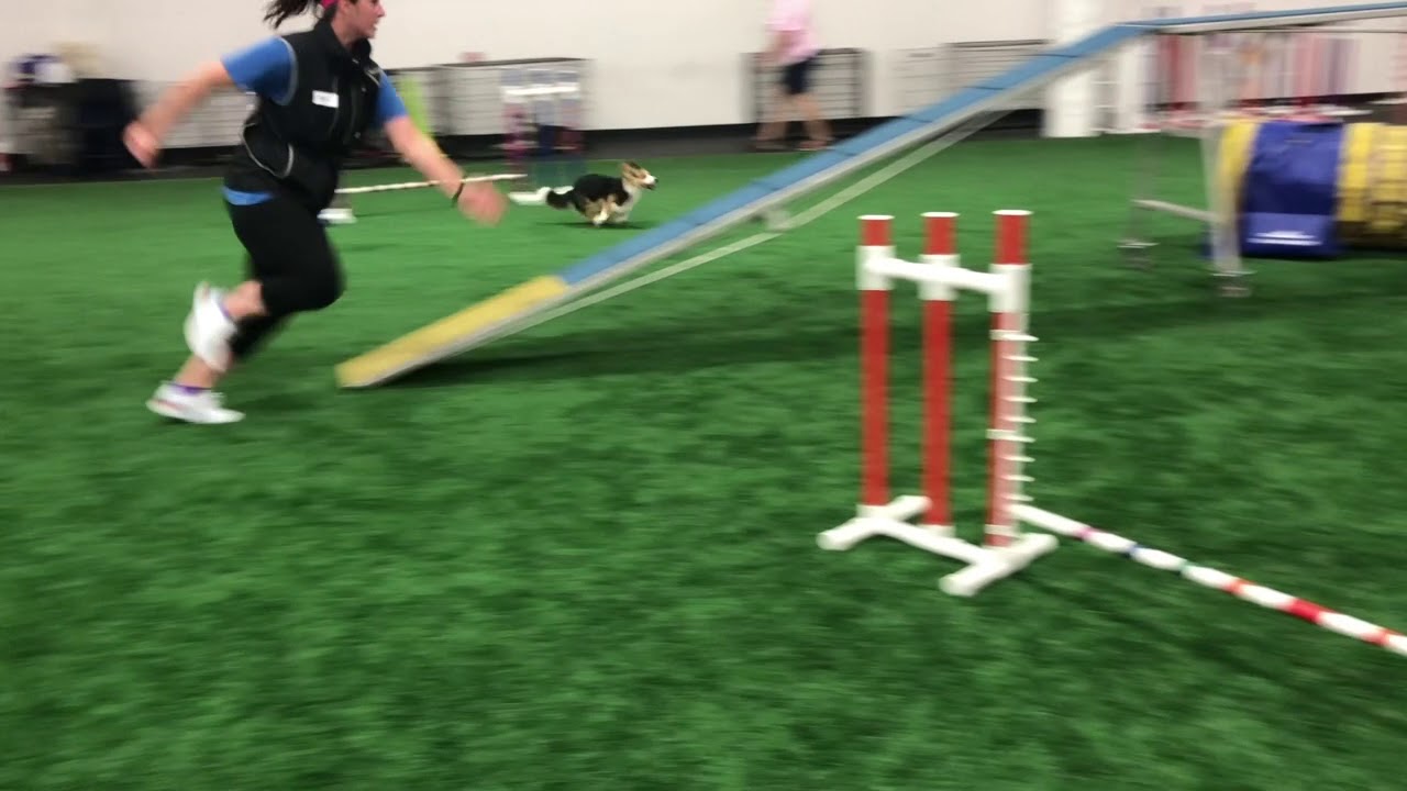 Artie and Rigby Chris/Kris August 2019 y2k9 - YouTube