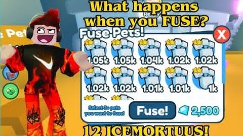 FUSING ICEMORTUUS And Let