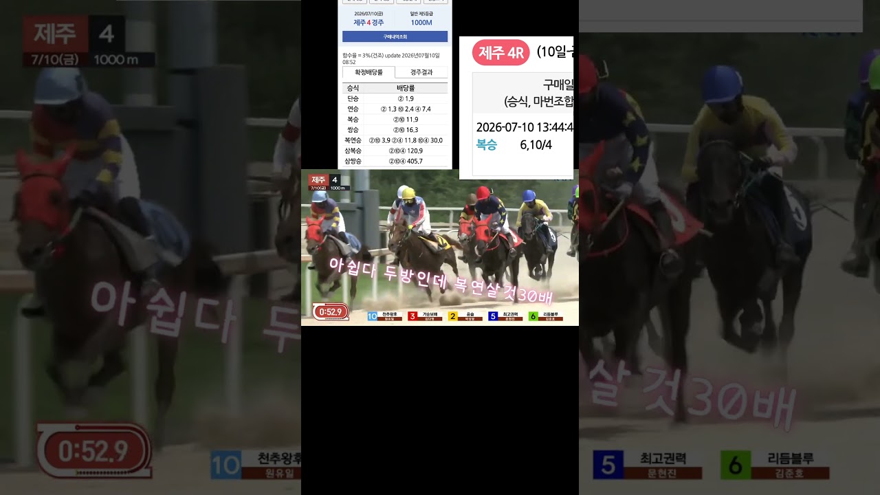 복연살것 배당말4번01055876275