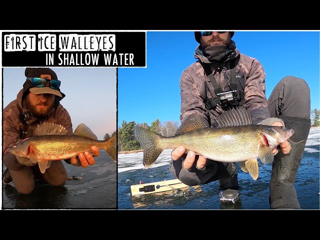 Tips for Targeting Shallow Water Walleye Through the Ice - Virtual Angling