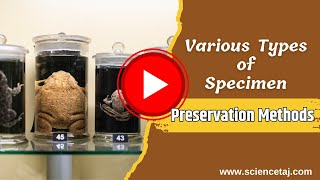 Specimen Preservation Methods: Principle of Preservation  #preservation
