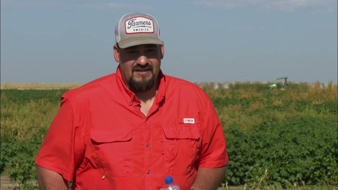 Panhandle Crops Field Day YouTube