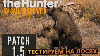 theHunter Call of the Wild #27 Патч 1.5 (тестируем на лосях) (patch 1.5)