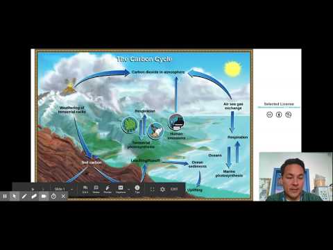 Video: Hva er tre store reservoarer der karbon finnes i biosfæren?
