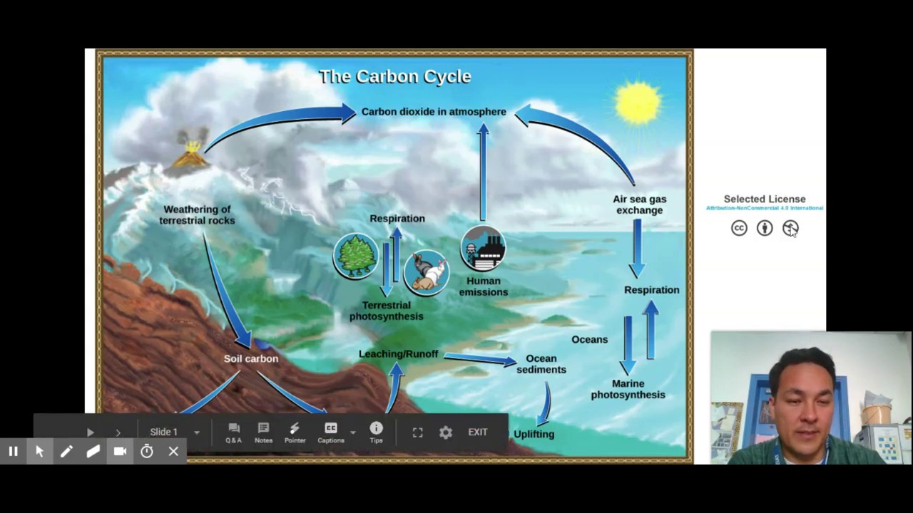 Carbon Cycle Reservoirs And Flows