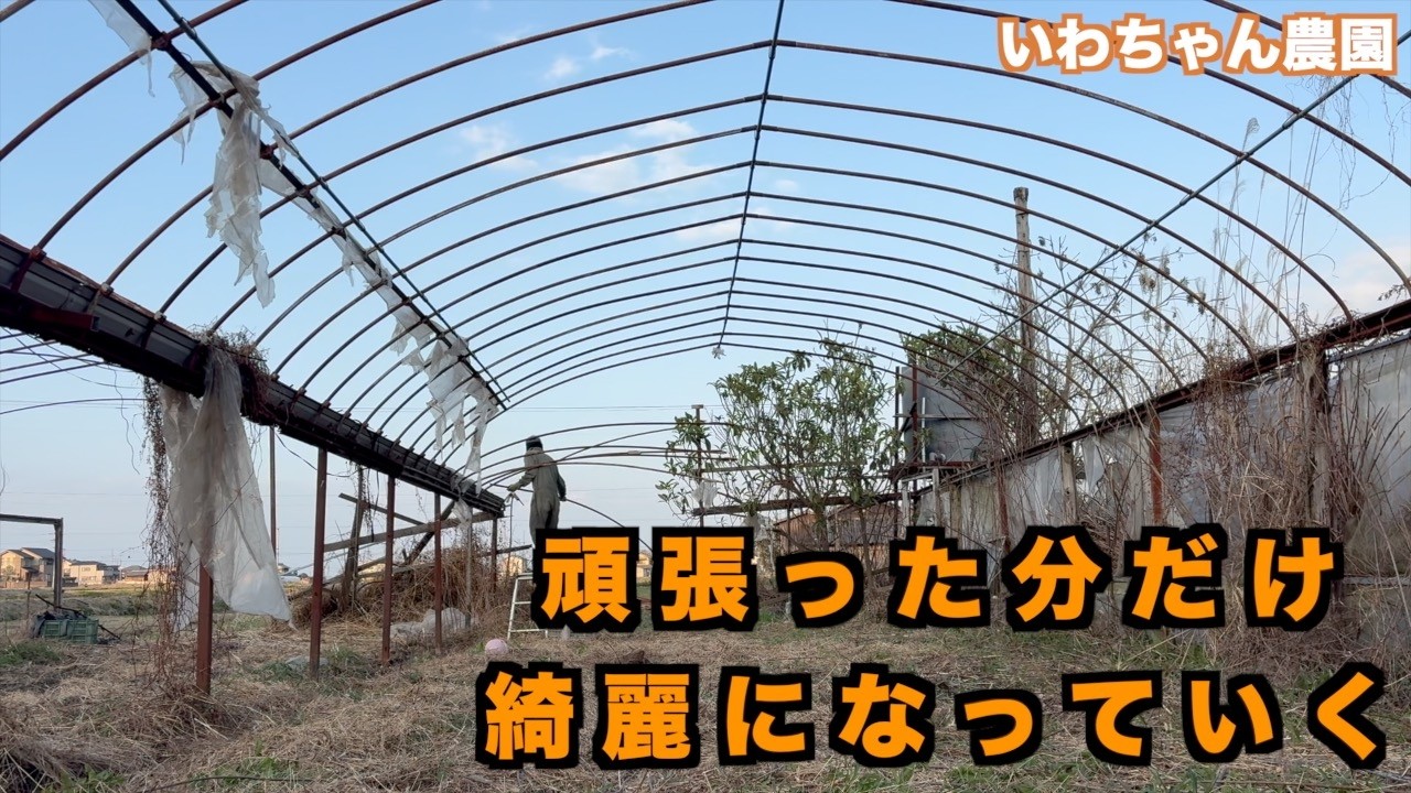 耕作放棄地　頑張ろう