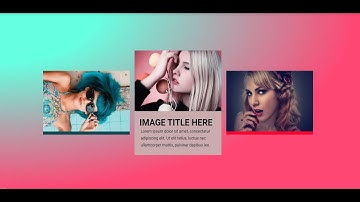 wordpress elementor hover effect | Elementor card hover